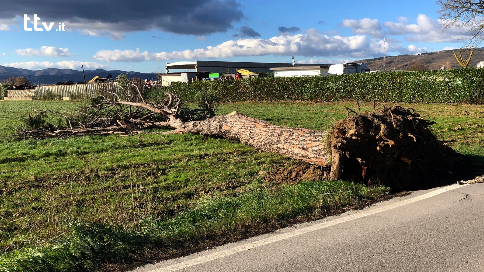 Vento forte disagi a Sansepolcro e San Giustino Cronaca TTV